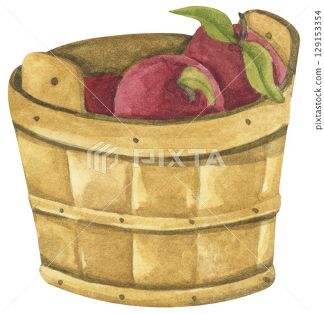 Fresh Apples in Vintage Wooden Bucket. Red Fruits, Wooden Barrel, Autumn Harvest Decor. Organic Farm and Garden. Watercolor Autumn Farmhouse Food Illustration for Thanksgiving. 129153354