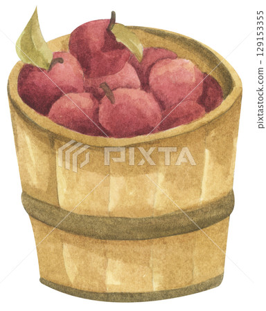 Fresh Apples in Vintage Wooden Bucket. Red Fruits, Wooden Barrel, Autumn Harvest Decor. Organic Farm and Garden. Watercolor Autumn Farmhouse Food Illustration for Thanksgiving. 129153355