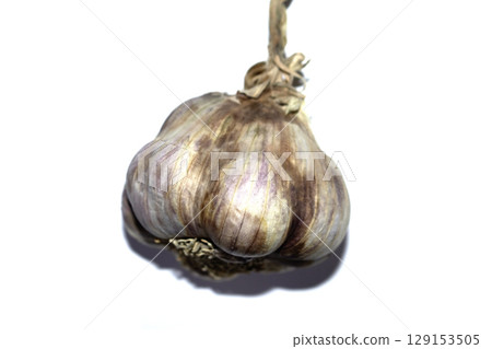 Large French violet garlic bulb on a white background 129153505