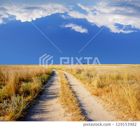 meadow meadow 129153982