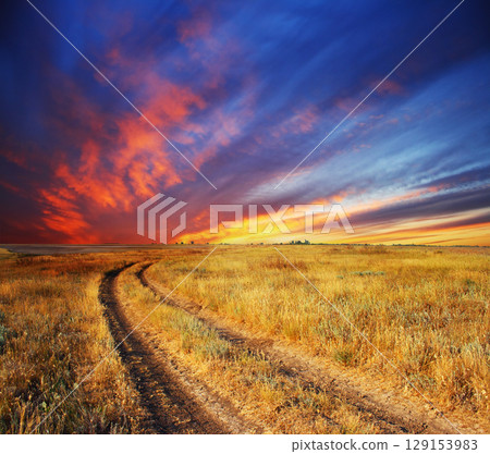 morning in meadow 129153983