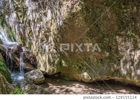 The Valley of Butterflies Rhodes, Greece 129155114