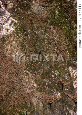 The Valley of Butterflies Rhodes, Greece 129155115