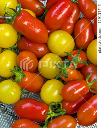 Close up of home grown tomatoes in a bowl waiting to be cooked Close up of home grown tomatoes in a bowl waiting to be cooked 129155743