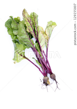 Fresh home grown beetroot with stems and leaves gardening harvest 129155807