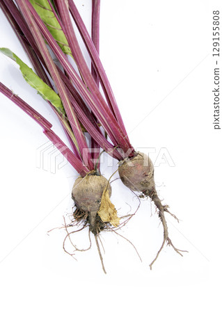 Fresh home grown beetroot with stems and leaves gardening harvest Fresh home grown beetroot with stems and leaves gardening harvest 129155808