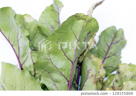 Fresh home grown beetroot with stems and leaves gardening harvest 129155809
