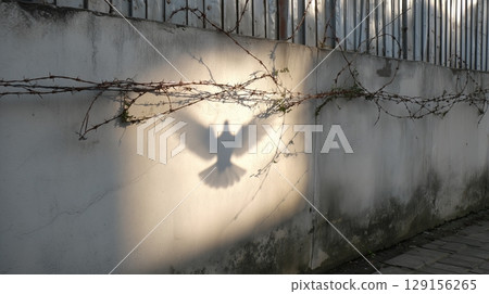 Shadow of a bird cast on a concrete wall surrounded by barbed wire 129156265