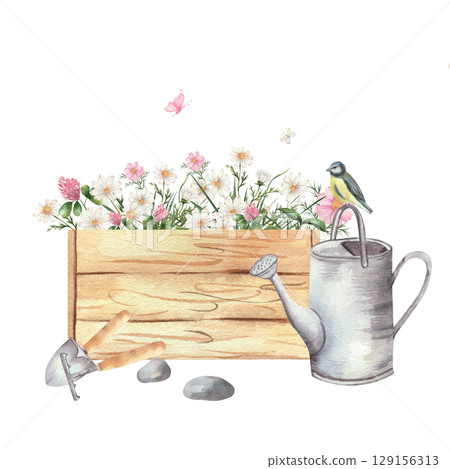 Watercolor illustration of wooden box filled with wildflowers, daisies and clover. Nearby are watering can, garden tools, stones, butterflies and small bird. White background, rustic gardening theme 129156313