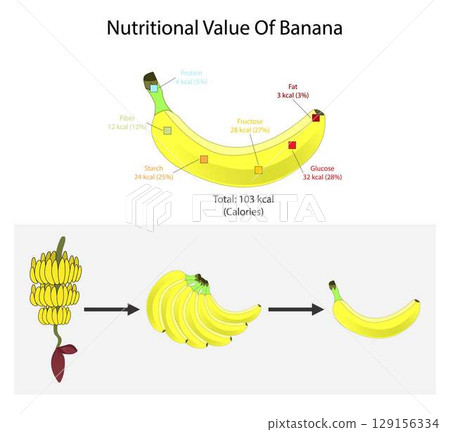 illustration of biology and food science, Nutritional Value of Banana, banana is an elongated, edible fruit, Vitamins and minerals, Nutrition Facts, Bananas, raw nutrition facts and analysis 129156334
