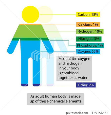 illustration of biology and chemistry, minerals in the human body, Minerals are important for making enzymes and hormones, The amount of minerals in the human body 129156338