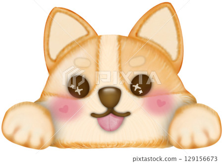Kawaii playful Corgi and Shiba Inu dogs in various poses. Hand drawn colored  illustration set. 129156673