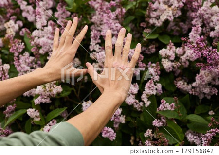 Delicately Reaching Hands Surrounded by Beautiful Lilac Flowers in Full Blooming Glory Delicately Reaching Hands Surrounded by Beautiful Lilac Flowers in Full Blooming Glory 129156842