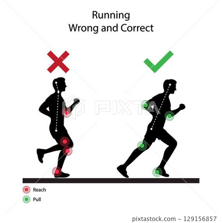 Vector infographic showing correct and incorrect running posture. Highlights joint movement and optimal running mechanics using visual indicators for reach and pull points Vector infographic showing correct and incorrect running posture. Highlights joint movement and optimal running mechanics using visual indicators for reach and pull points 129156857