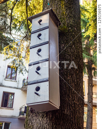Birdhouses on a large tree. Birdhouses of unusual design in the park. Caring for birds. Nesting place. Homemade things. Birdhouses on a large tree. Birdhouses of unusual design in the park. Caring for birds. Nesting place. Homemade things. 129156975
