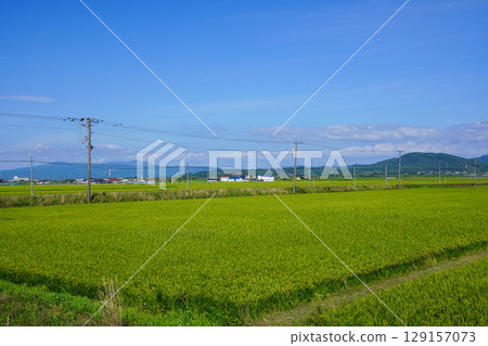 The vast rice-growing area of Shintotsukawa Town The vast rice-growing area of Shintotsukawa Town 129157073