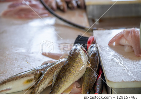 Freshly caught fish being prepared on a countertop in a seafood market during daylight hours Freshly caught fish being prepared on a countertop in a seafood market during daylight hours 129157465
