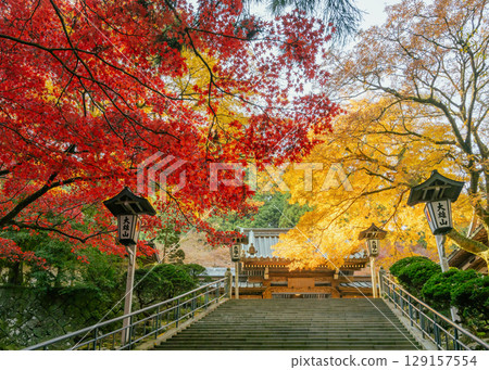 從樓梯上看到的大雄山西乘寺瑠璃門的紅葉非常美麗 129157554