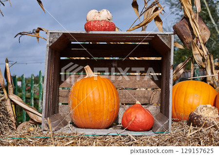 pumpkin rural decoration idea 129157625