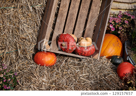 pumpkin rural decoration idea 129157657