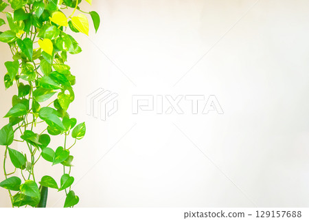 Green plants and leaves frame 129157688