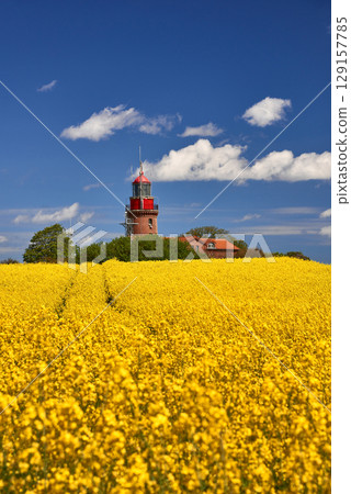 Lighthouse Buk near Bastorf in yellow field Lighthouse Buk near Bastorf in yellow field 129157785