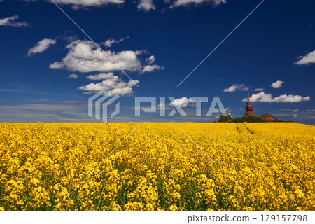 Lighthouse Buk near Bastorf in yellow field Lighthouse Buk near Bastorf in yellow field 129157798