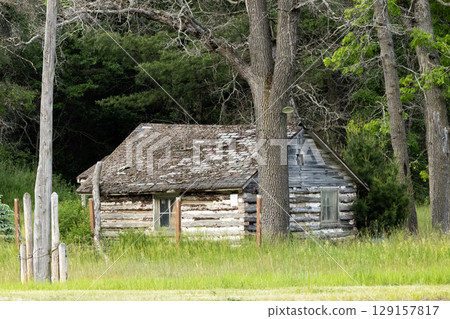 Old wooden cabin surrounded by green trees Old wooden cabin surrounded by green trees 129157817