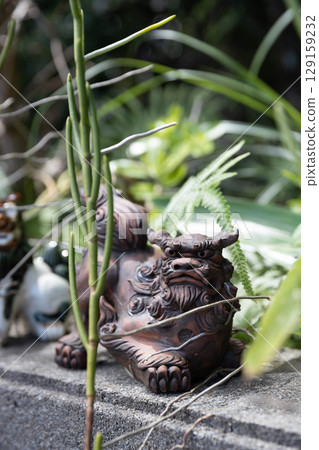 SHISA SHISA 129159232