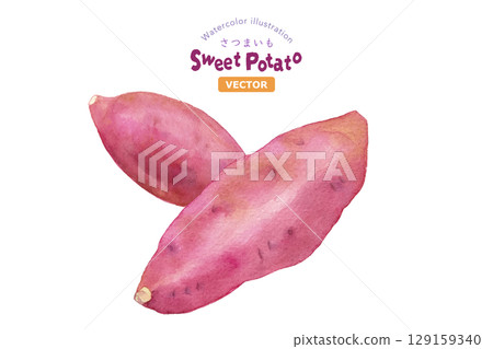 秋日滋味：地瓜水彩畫。兩件套。插圖。 （向量圖。佈局可更改。） 129159340