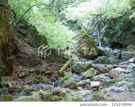 望之山半山路 129159994