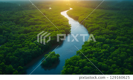 aerial view of mangrove forest and river at sunset. background nature green sky beautiful landscape travel lake tree. 129160625