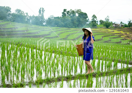 Woman in blue dress with conical hat walking barefoot carrying basket in green rice terrace field Woman in blue dress with conical hat walking barefoot carrying basket in green rice terrace field 129161043