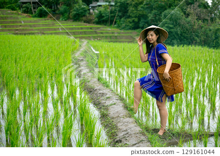 Woman in traditional hat and blue dress carrying woven basket stepping through lush green rice field 129161044