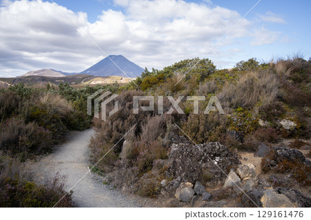 Trail leading through harsh volcanic landscape with volcano in backdrop , New Zealand 129161476