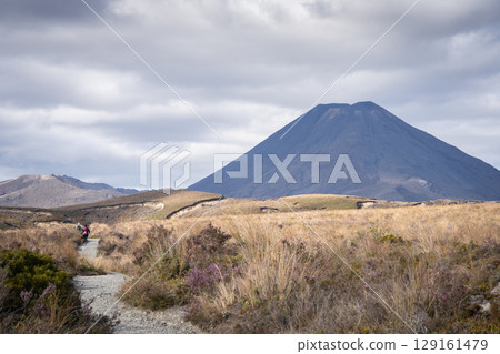 Tourists on a trail moving through landscape towards big volcano, New Zealand Tourists on a trail moving through landscape towards big volcano, New Zealand 129161479