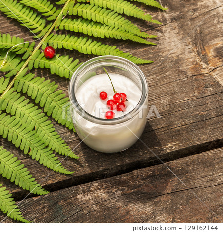 Eco friendly, food composition with vegan, non diary homemade yogurt with red currant on a wooden table with fern leaf. Mindful and sustainable eating concept. Healthy, natural food 129162144