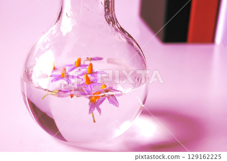 Plant science laboratory research in test tube.medicine biotechnology . 129162225