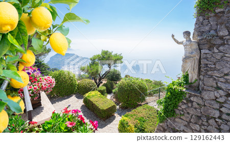 Capri island, Italy 129162443
