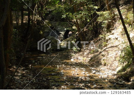 A green forest path and a clear stream A green forest path and a clear stream 129163485