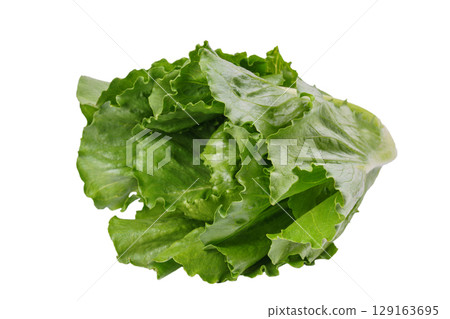 Whole fresh ramen salad, lettuce head isolated on white background, healthy raw leafy vegetable 129163695