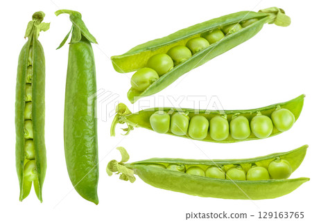 Set, collection of open pea pod with green peas isolated on white background, healthy food vegetable Set, collection of open pea pod with green peas isolated on white background, healthy food vegetable 129163765