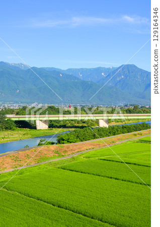 稻田與北阿爾卑斯山 [安曇野市] 129164346