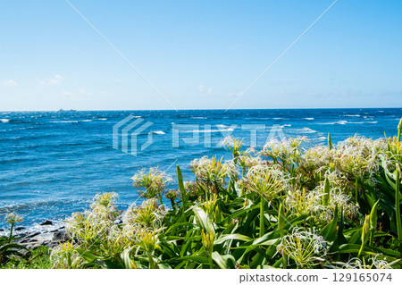 沐浴海風 沐浴海風 129165074