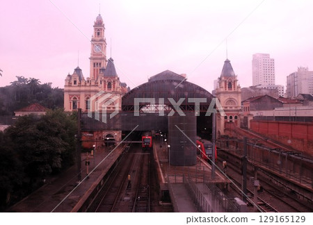 Sao Paulo Central Station, Sao Paulo, Brazil, South America Sao Paulo Central Station, Sao Paulo, Brazil, South America 129165129