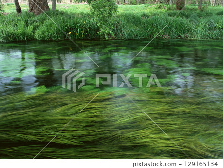 Peaceful Lake with Lily Pads. High quality photo Peaceful Lake with Lily Pads. High quality photo 129165134