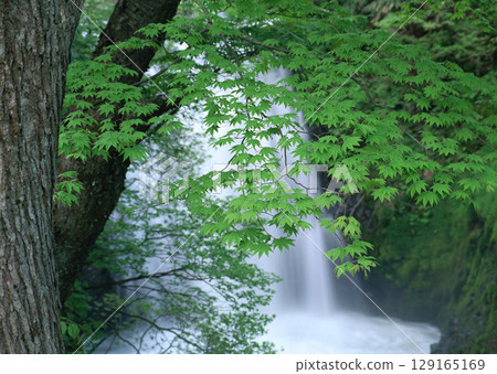 Dictionary of Materials Vol.122 Four Seasons, Scenery of Japan. High quality photo 129165169