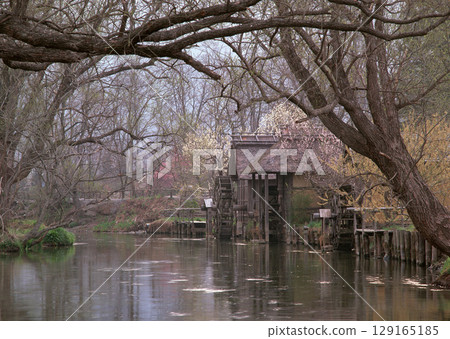 Rustic Watermill Framed by Trees. High quality photo 129165185