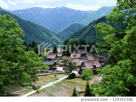 Field with green view. open space, outdoor. High quality photo 129165306