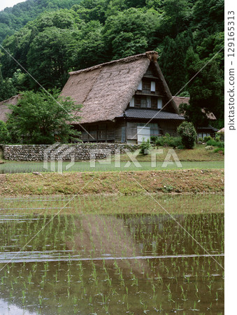 Traditional Japanese Rural Landscape. High quality photo Traditional Japanese Rural Landscape. High quality photo 129165313